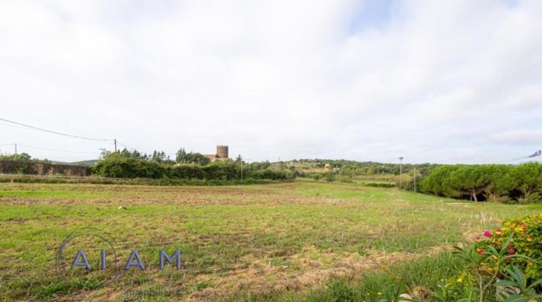 Teruel - Alcalá de la Selva - 63000m2