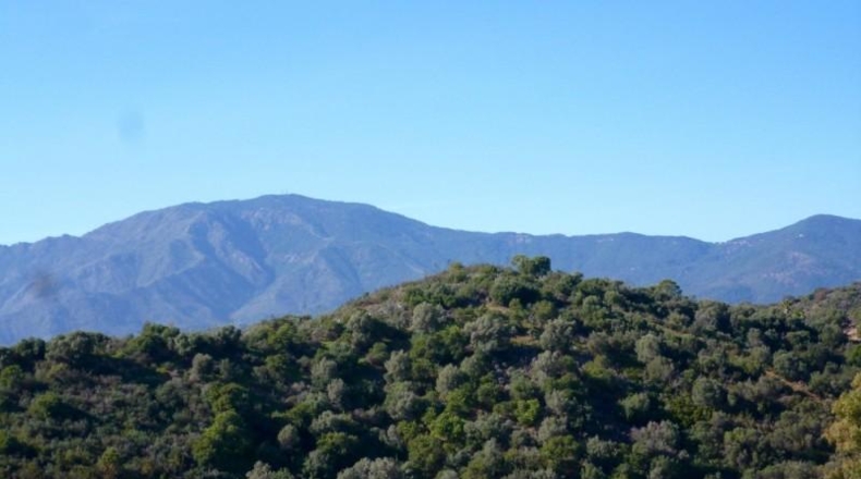 Málaga - Estepona - 2957m2