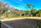 Casa de camp amb terreny en venda a la España, Estepona, ref.: TR154327 foto