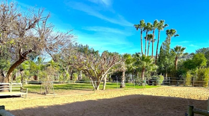 Málaga - Estepona - 4000m2