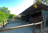Casa de camp amb terreny en venda a la España, Estepona, ref.: TR154327 foto
