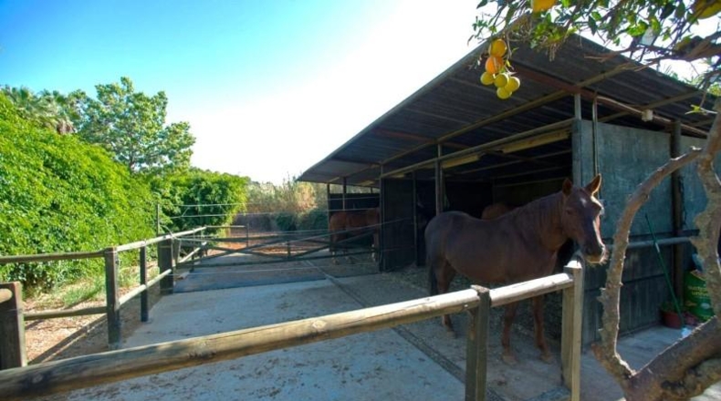 Málaga - Estepona - 4000m2