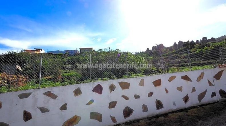 Santa Cruz de Tenerife - Icod de los Vinos - 4689m2