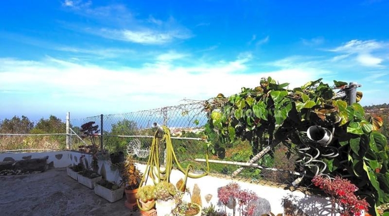 Santa Cruz de Tenerife - Icod de los Vinos - 4689m2