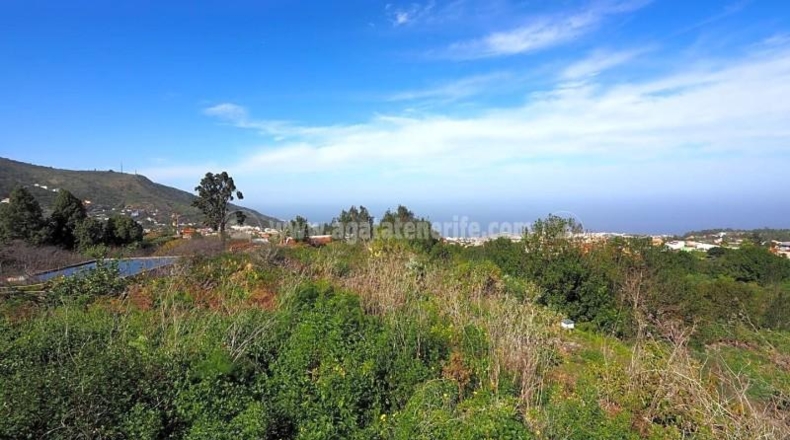 Santa Cruz de Tenerife - Icod de los Vinos - 4689m2
