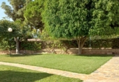 Detached villa with land for sale on España, Orihuela, ref: TR175708 photo