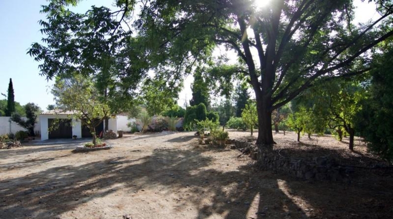 Malaga - Алаурин-эль-Гранде - 9000m2