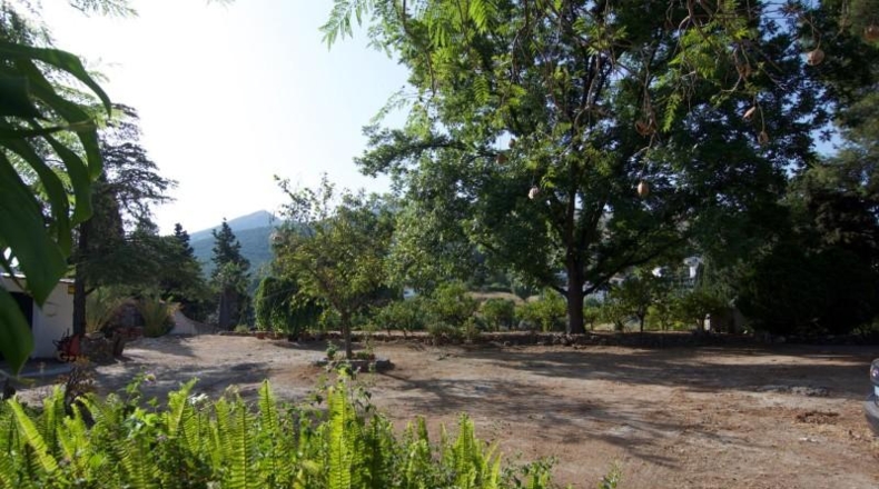 Malaga - Алаурин-эль-Гранде - 9000m2
