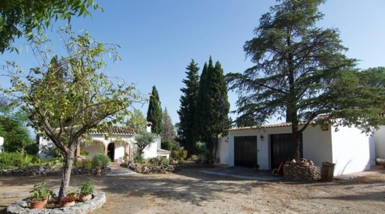 Malaga - Алаурин-эль-Гранде - 9000m2