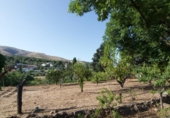 Xalet independent amb terreny en venda a la España, Alhaurín el Grande, ref.: TR320433 foto