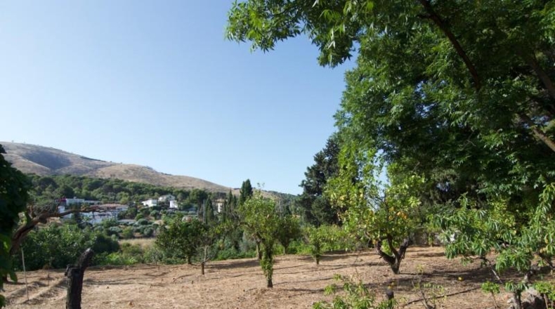 Malaga - Алаурин-эль-Гранде - 9000m2