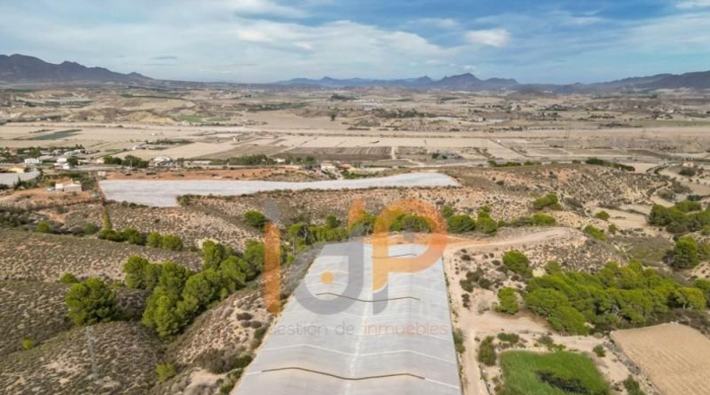 Almeria - Cuevas del Almanzora - 110000m2