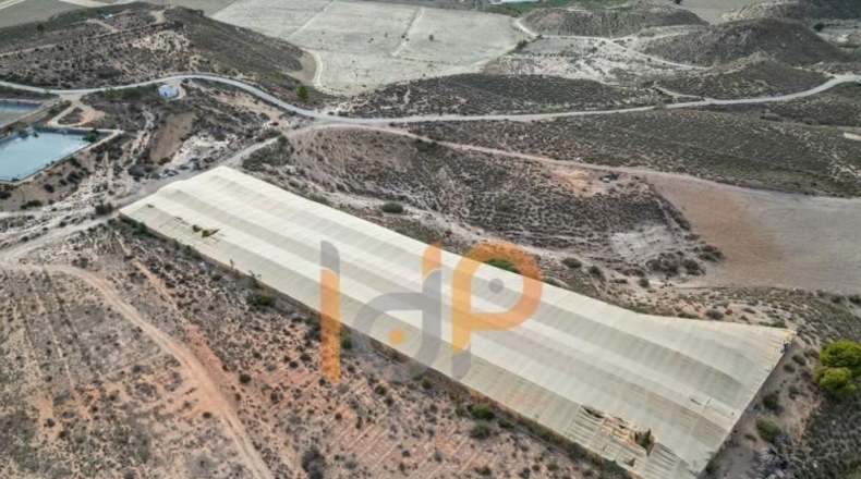 Almeria - Cuevas del Almanzora - 110000m2
