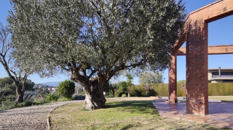 Barcelona - Can Farell - 3388m2