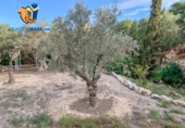 Suelo urbano en venta en la España, San Juan de Alicante, ref: TR261817 foto