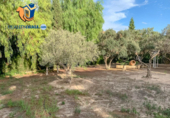 Suelo urbano en venta en la España, San Juan de Alicante, ref: TR261817 foto
