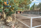 Suelo urbano en venta en la España, San Juan de Alicante, ref: TR261817 foto