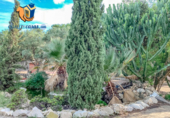 Suelo urbano en venta en la España, San Juan de Alicante, ref: TR261817 foto