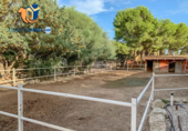 Suelo urbano en venta en la España, San Juan de Alicante, ref: TR261817 foto