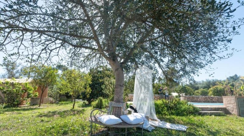 Islas Baleares - Sineu - 16301m2