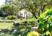Casa de camp amb terreny en venda a la España, Sineu, ref.: TR158814 foto