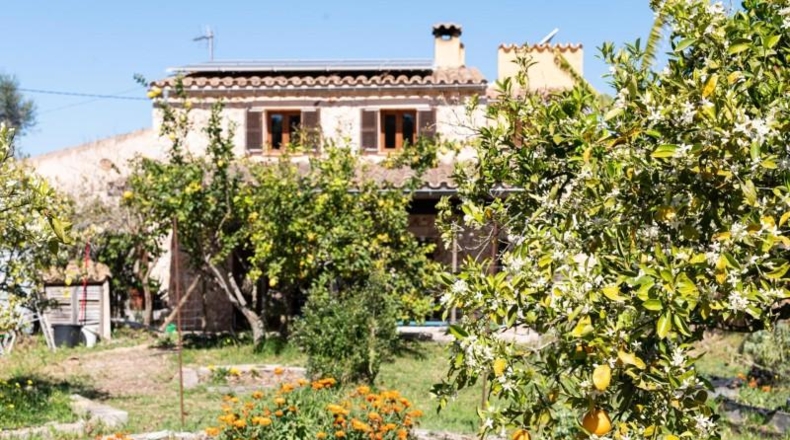 Islas Baleares - Sineu - 16301m2