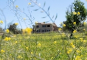 Casa de camp amb terreny en venda a la España, Sineu, ref.: TR158814 foto