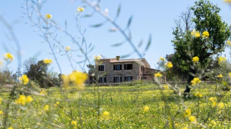 Islas Baleares - Sineu - 16301m2