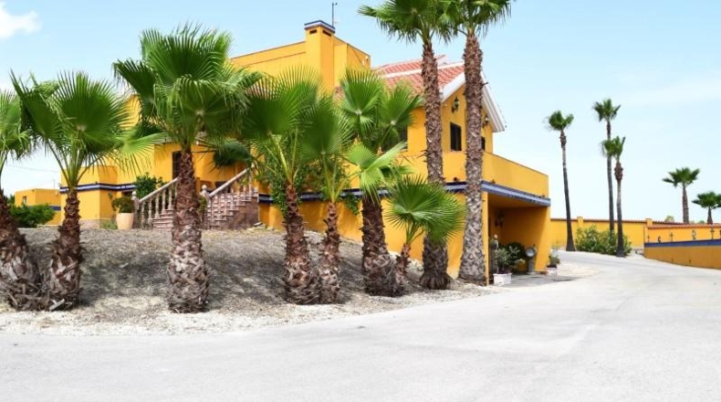 Alicante - San Miguel de Salinas - 11000m2
