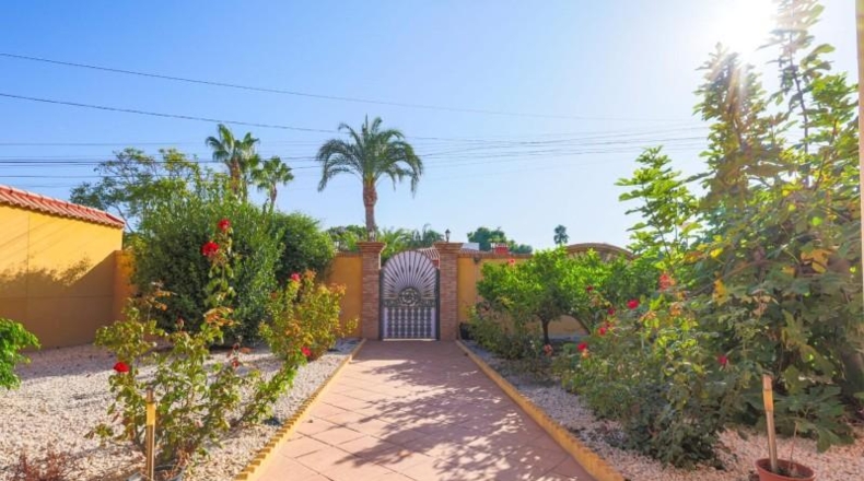 Alicante - Torrevieja - 1600m2