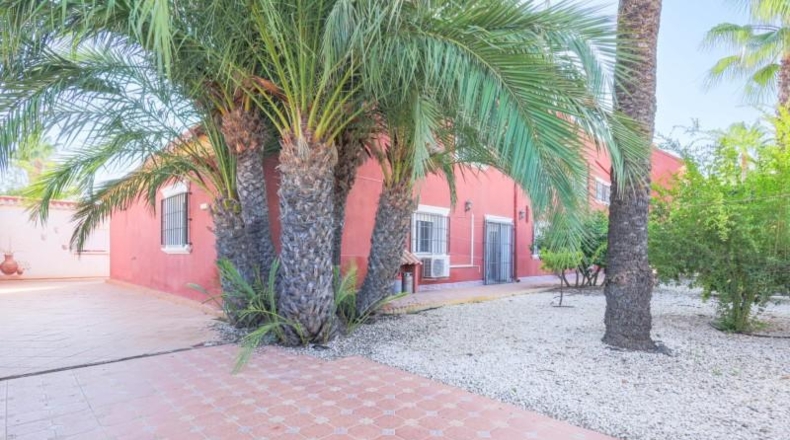 Alicante - Torrevieja - 1600m2