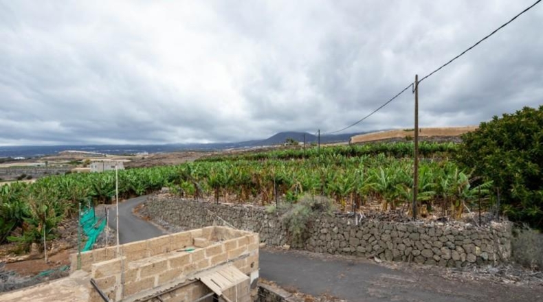 Santa Cruz de Tenerife - Adeje - 31220m2
