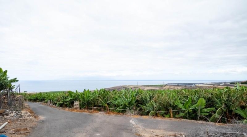 Santa Cruz de Tenerife - Adeje - 31220m2