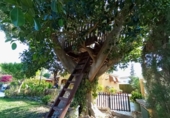 Chalet independiente con terreno en venta en la España, Alicante, ref: TR162853 foto