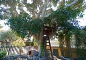 Chalet independiente con terreno en venta en la España, Alicante, ref: TR162853 foto