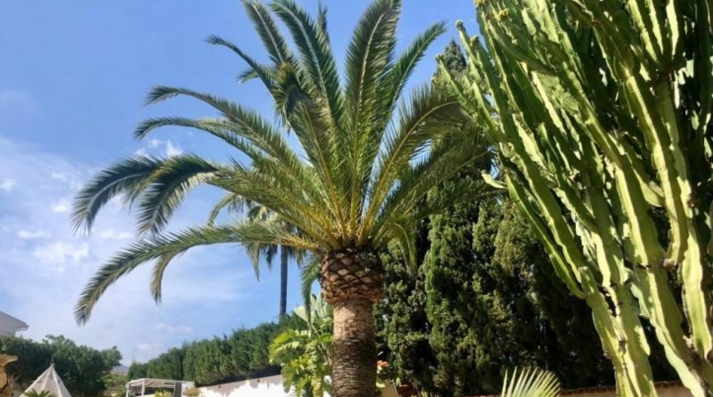 Alicante - La Nucía - 2000m2