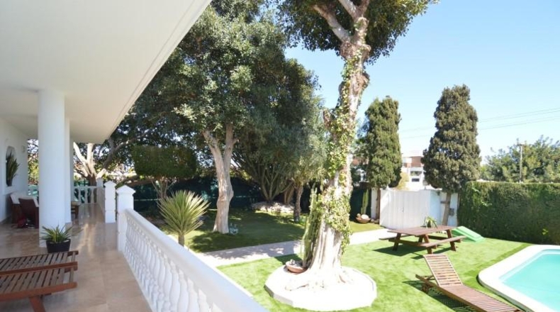 Alicante - Torrevieja - 800m2