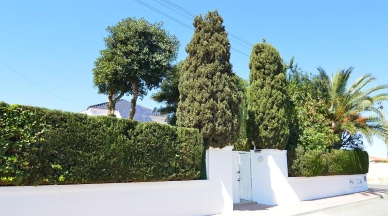 Alicante - Torrevieja - 800m2