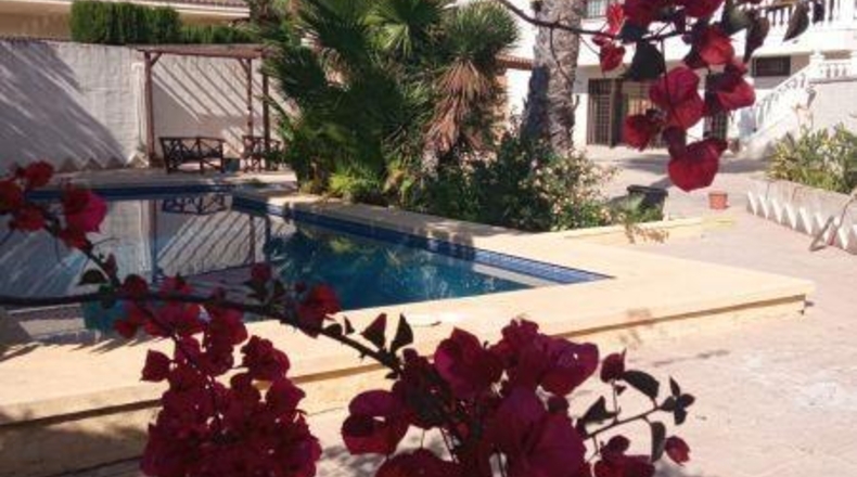 Alicante - Benidorm - 890m2