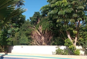 Foto 13