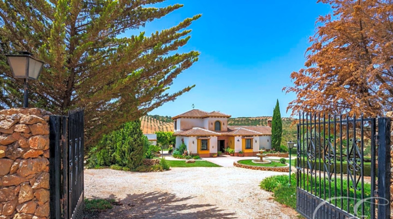 Málaga - Archidona - 75000m2