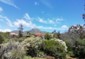 Xalet independent amb terreny en venda a la España, El Paso, ref.: TR136375 foto