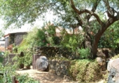 Xalet independent amb terreny en venda a la España, El Paso, ref.: TR136375 foto