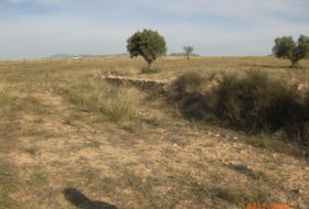 Montealegre del Castillo 990000&nbsp;м²