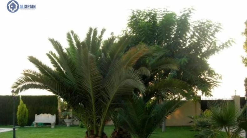 Alicante - Petrer - 1500m2