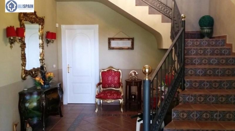 Alicante - Petrer - 1500m2