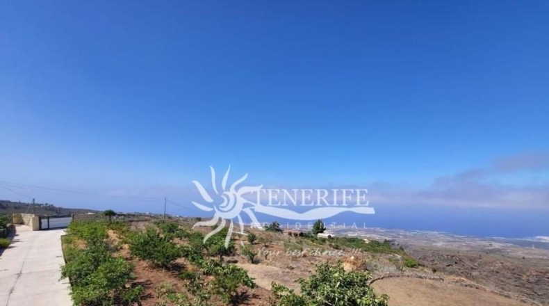 Santa Cruz de Tenerife - Adeje - 16240m2