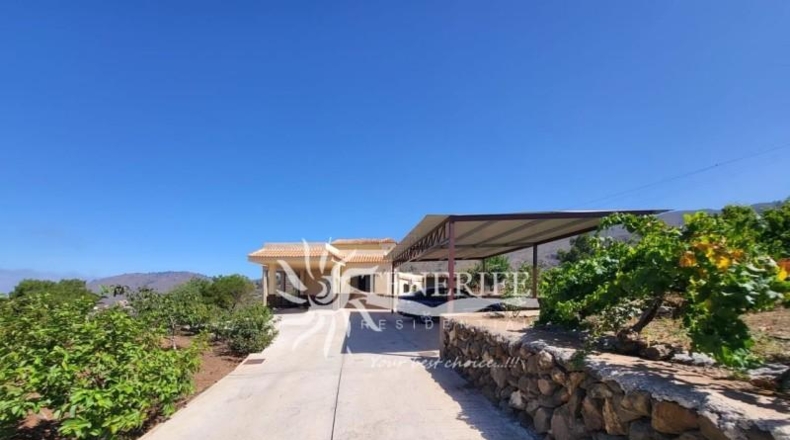 Santa Cruz de Tenerife - Adeje - 16240m2