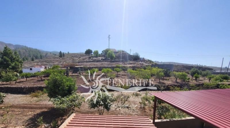 Santa Cruz de Tenerife - Adeje - 16240m2
