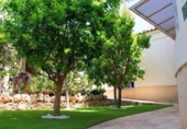 Chalet independiente con terreno en venta en la España, Rojales, ref: TR264131 foto